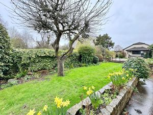 Garden- click for photo gallery